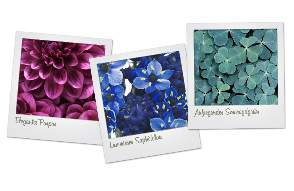 Juwelenfarben Blumen