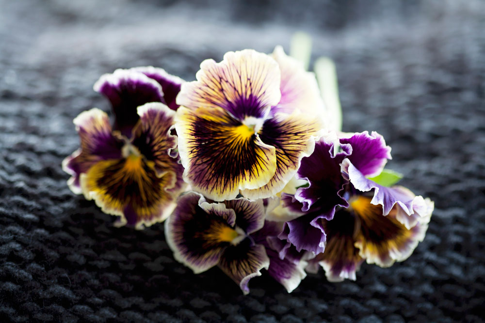 Inspiration Blumen