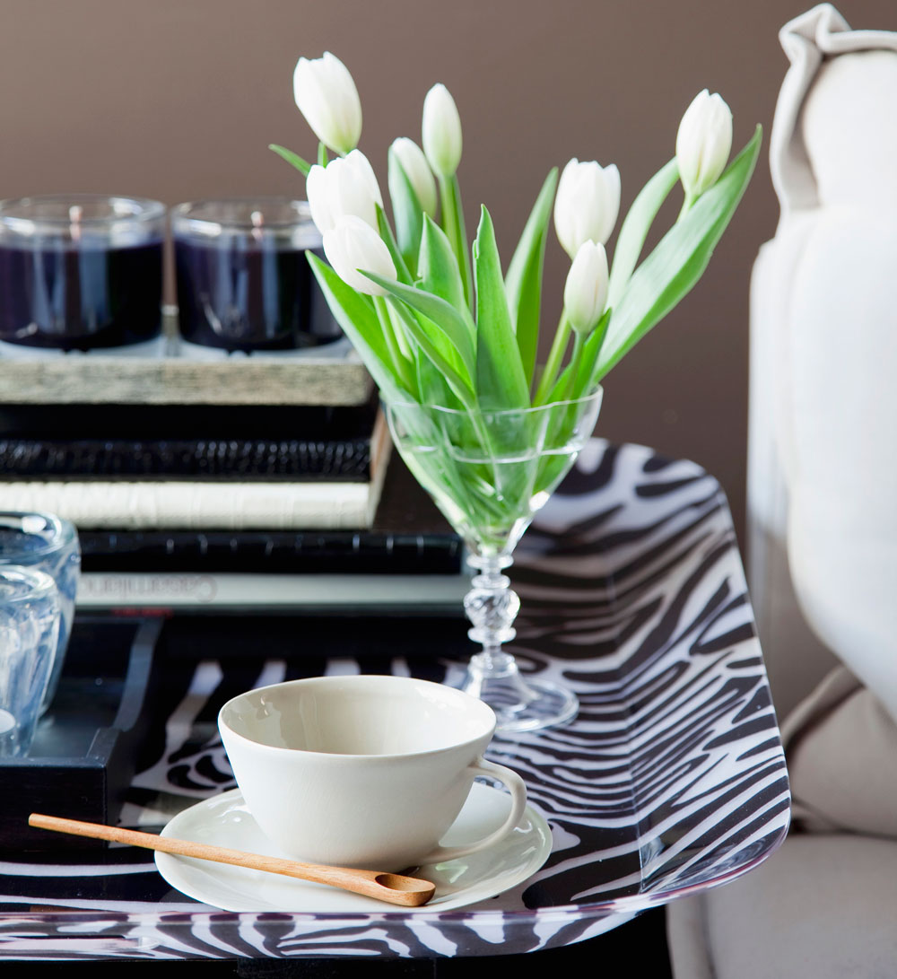 TRends 2015 ANimla Kingdom Tablett Zebra