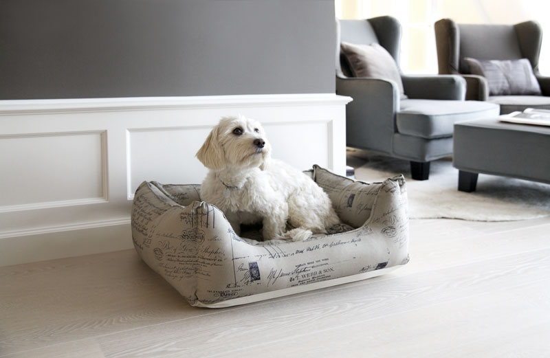 Leben mit Hund