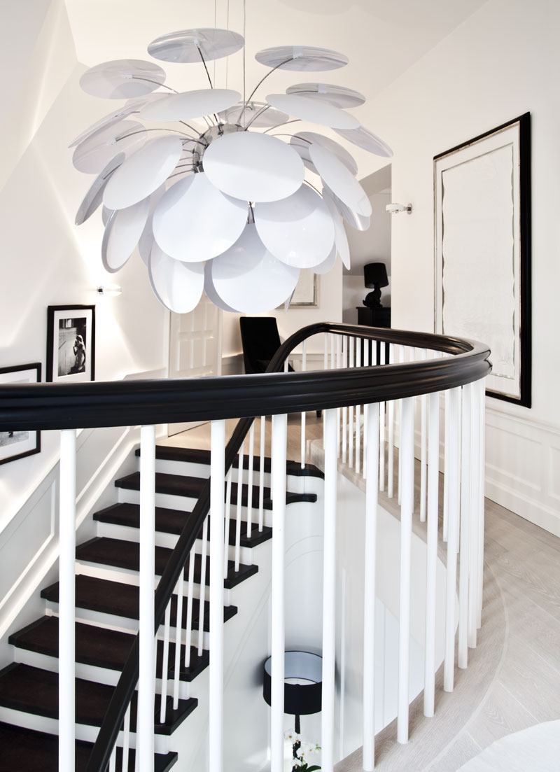 Leben mit Hund Lampe