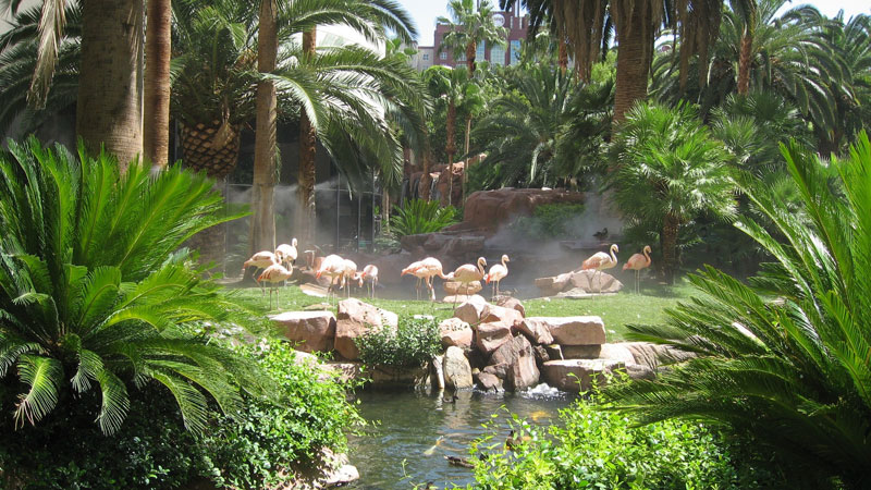 Flamingo Hotel Trendtier Westwing