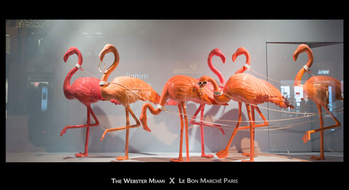 Interior Trend Flamingo Westwing