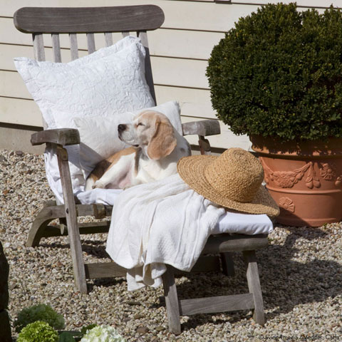 Sonnenanbeter