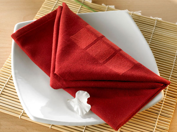 Küche Serviette rot