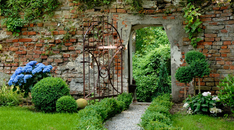 Im Grünen zu Hause 8