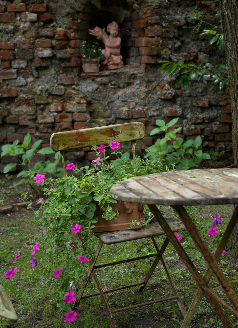 Im Grünen zu Hause 9