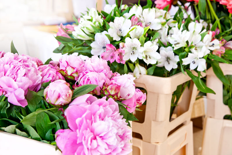 Miflora Blumensträuße zum Muttertag Westwing