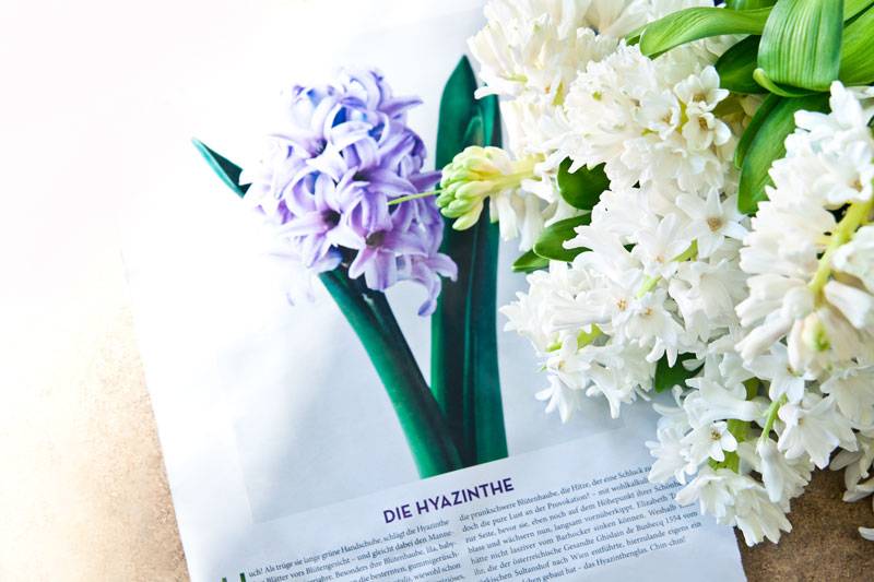 Westwing_Miflora_FINAL_5
