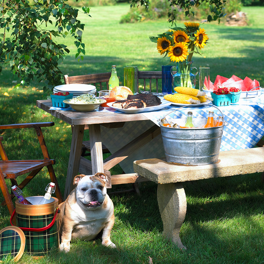 westwing-barbecue-tisch