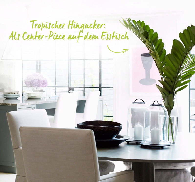 Pflanzentrend 2015: Palmblätter und Farne Westwing Magazin
