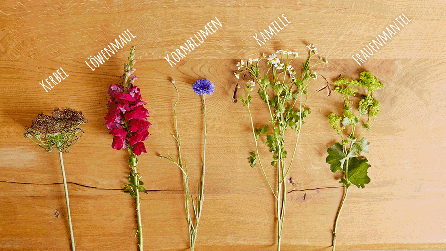 Westwing-DIY-Strauss-des-Monats-Juli-Blumen
