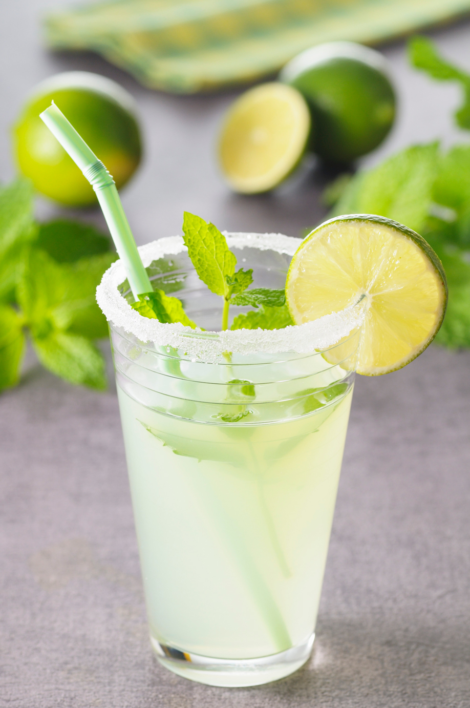 westwing-sommerparty-mojito-cocktail