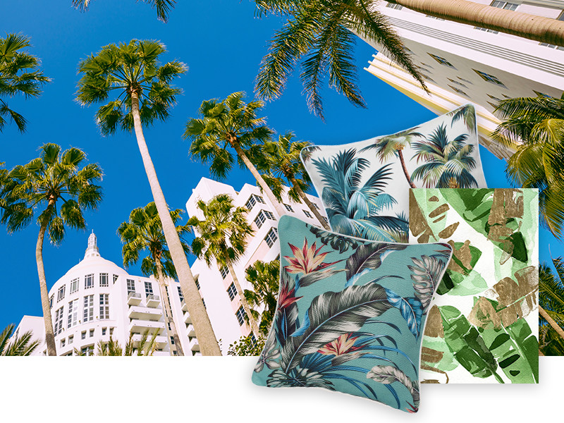 Miami Palmen