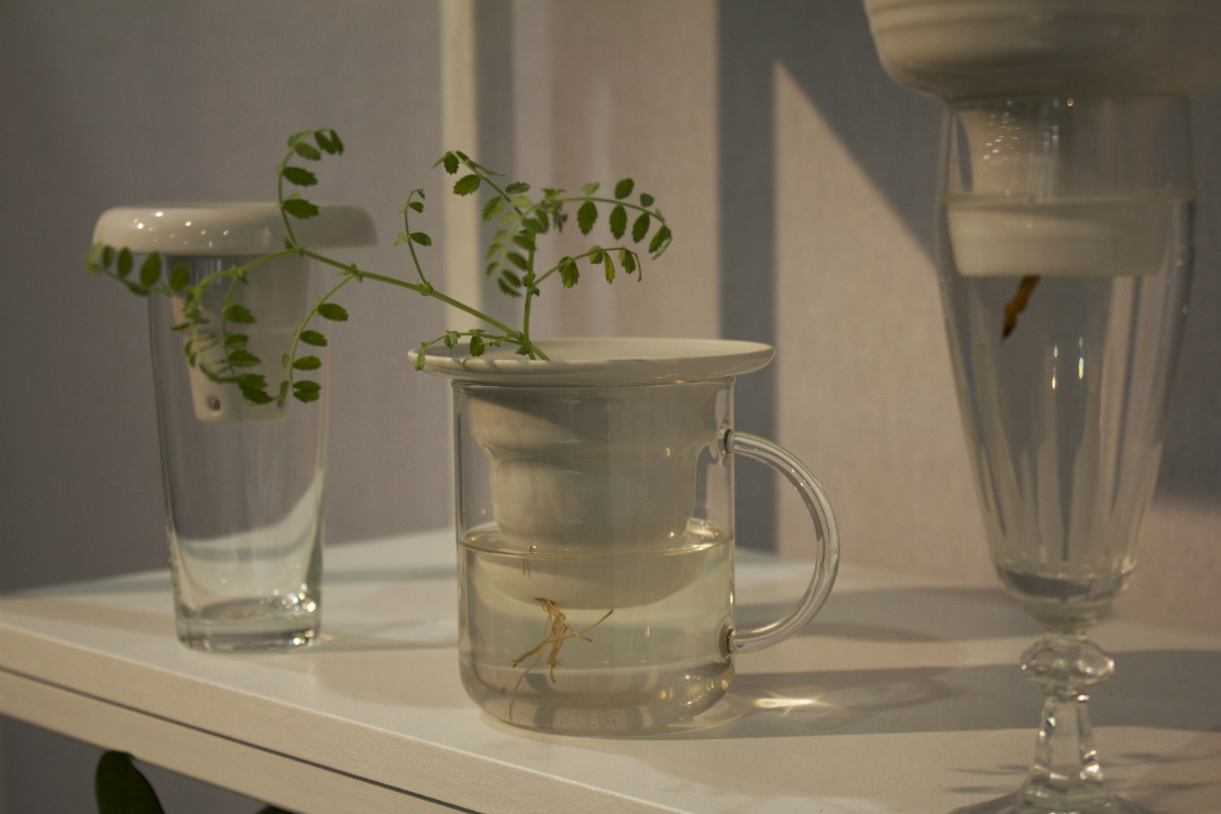 maison-objet-gruenpflanze-im-glas