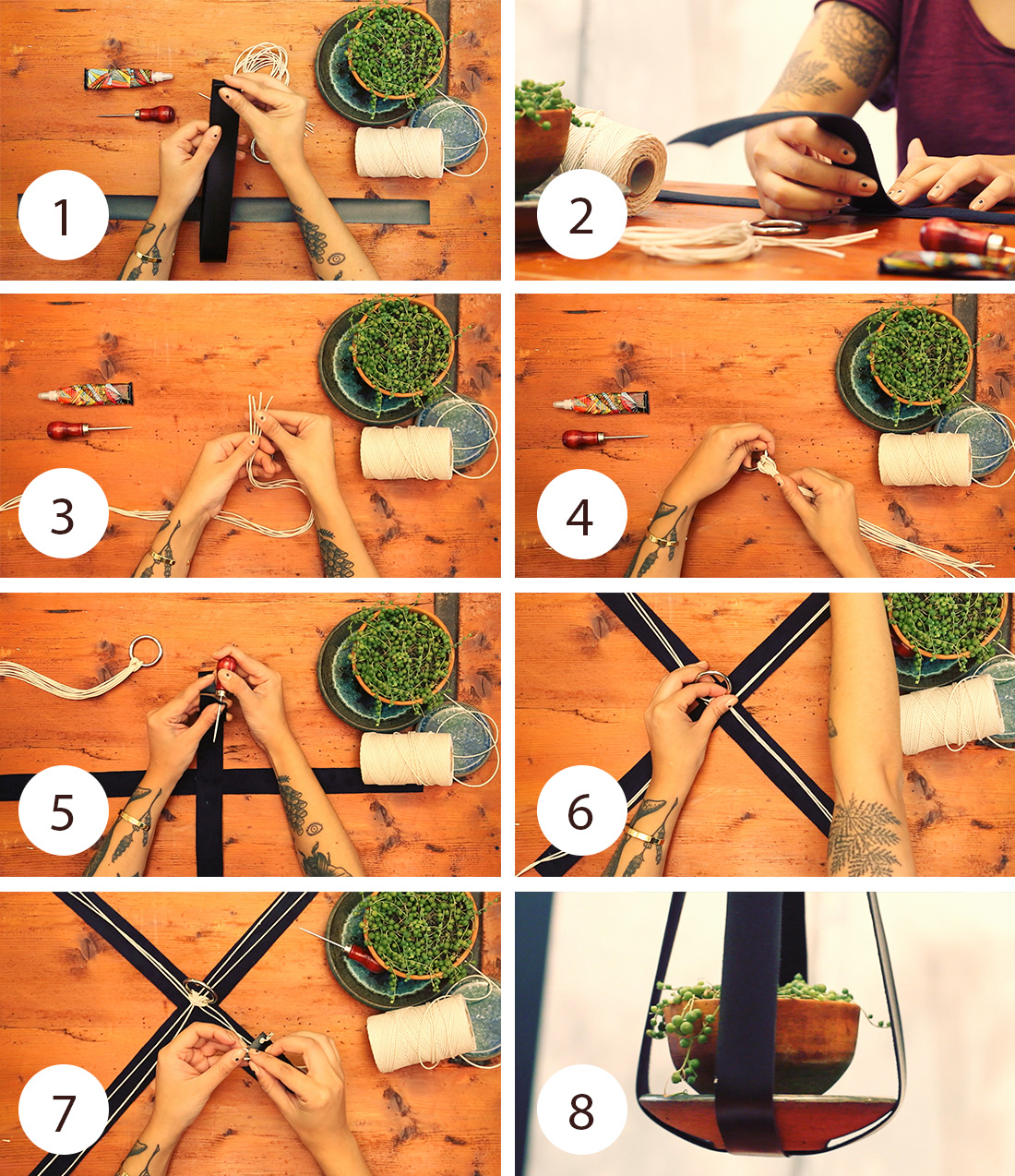 diy-pflanzenhaenger-bastelanleitung