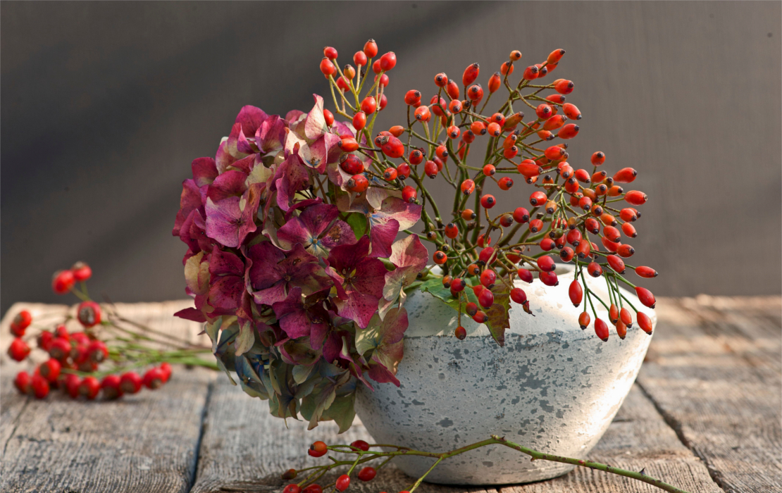 herbstgefuehle-blumen-bouquet-rot