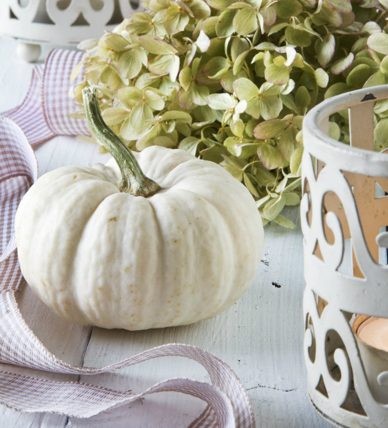 herbstliches tischarrangement