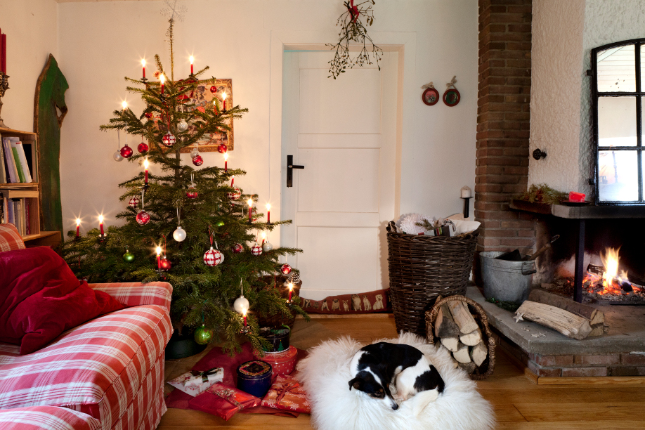 Westwing-Winterzauber-Baum