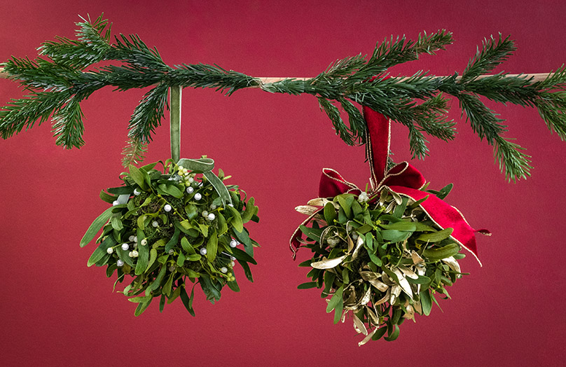 Weihnachtliche Romantik: DIY Mistelzweigkugel