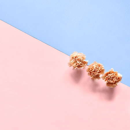 Pantone: Farben des Jahres 2016