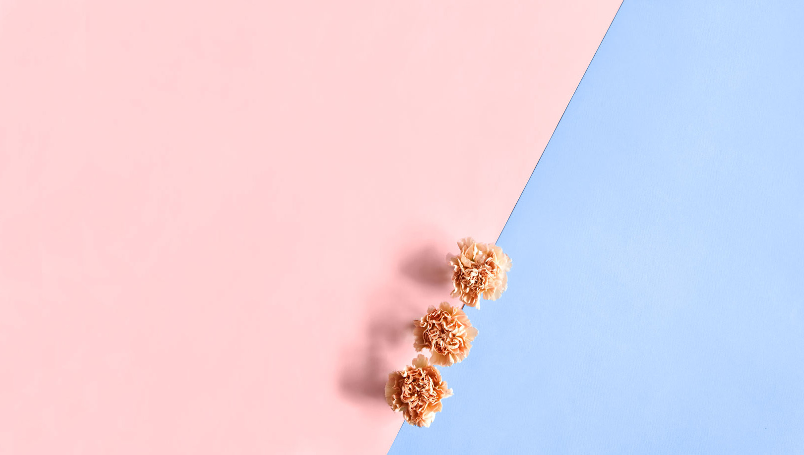westwing-pantone-trendfarben-2016