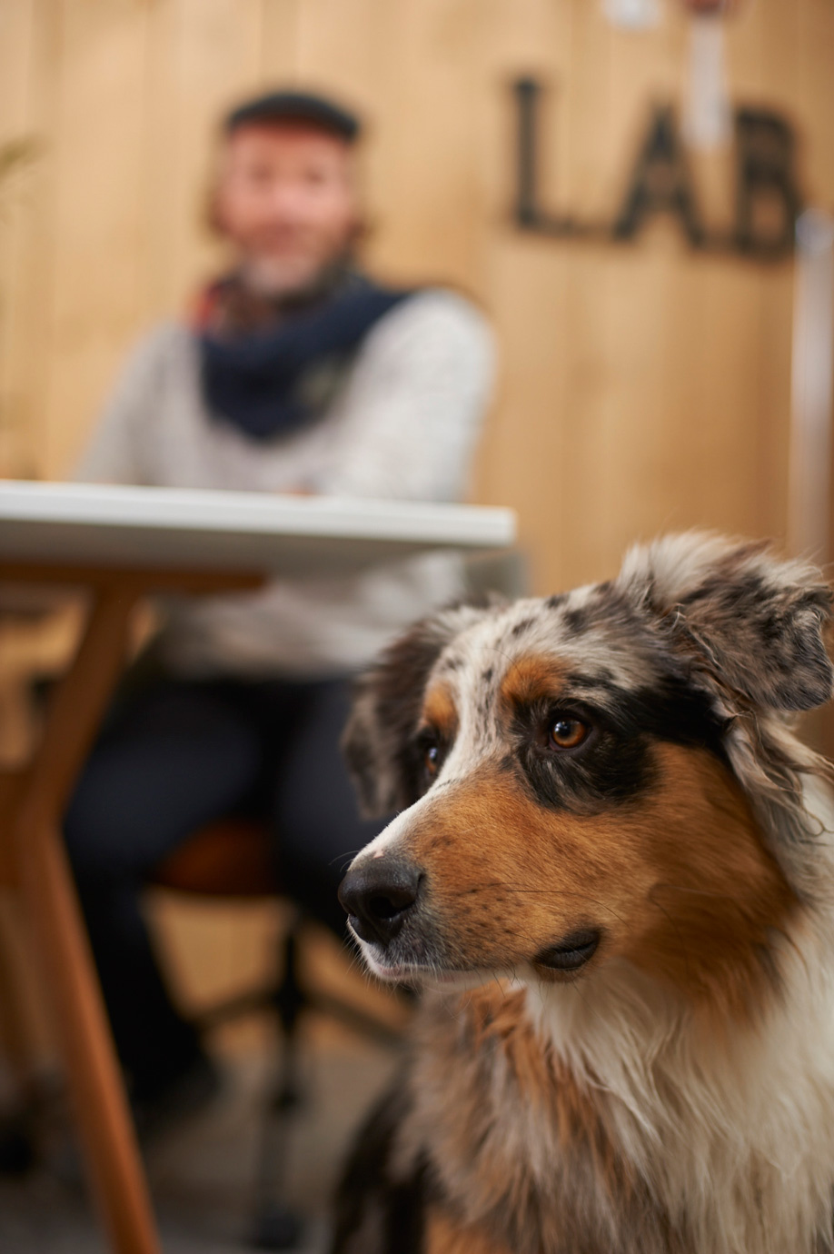 westwing-zuiver-richard-mit-hund