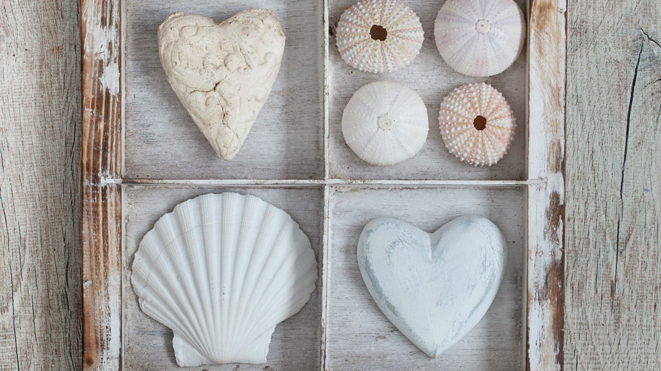 westwing-shabby-küstenstil-muscheln-weiß