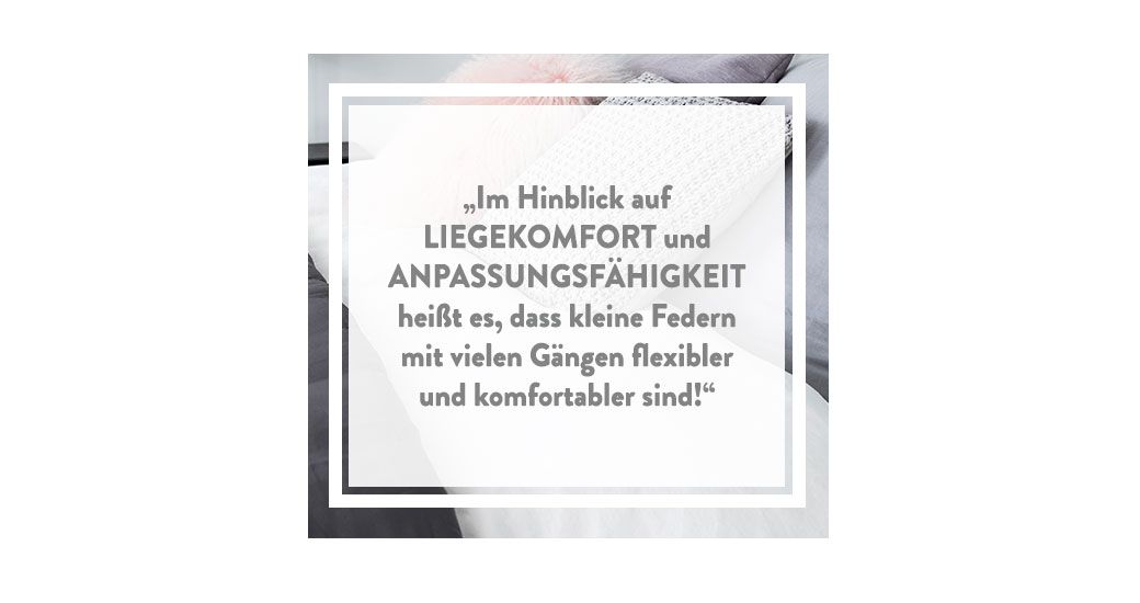 Grösse der Federn und Liegekomfort_dekstop