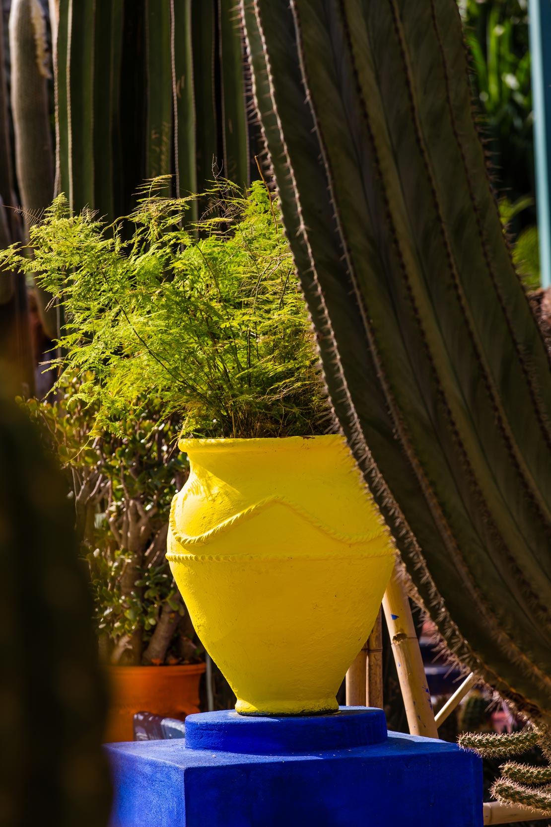 westwing-jardin-majorelle-blumentopf-gelb