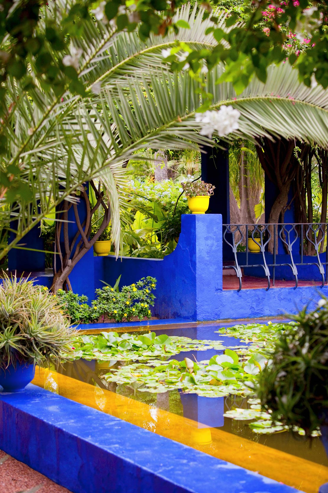 westwing-jardin-majorelle-seerosen