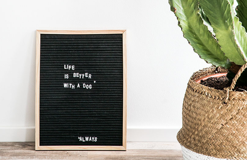 DIY Letter Board: Wort für Wort