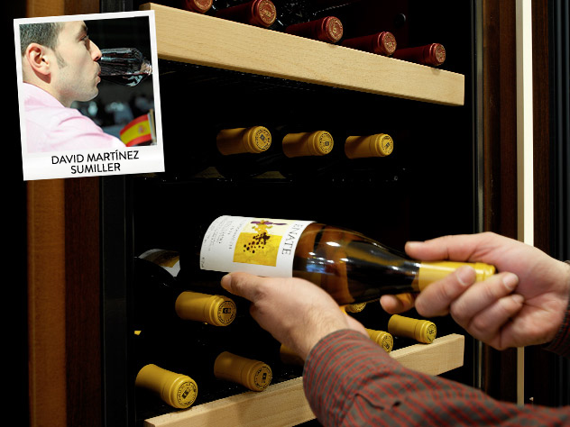 David_Martínez_sumiller_vinos_enología
