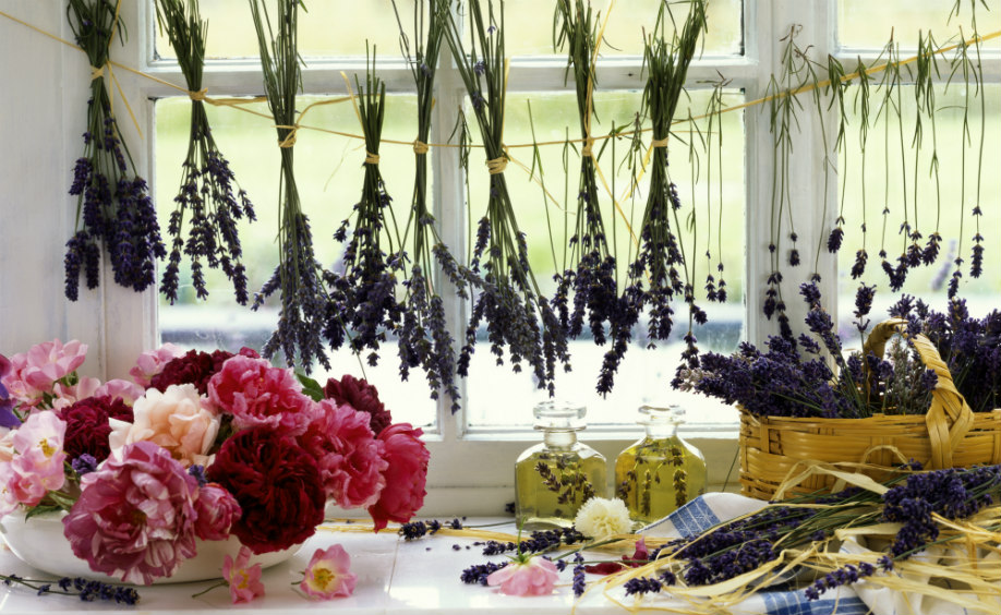 westwing-provenza-interior-flores