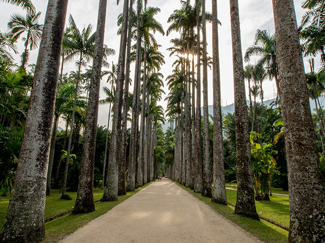 RÃo de janeiro: belleza natural westwing magazine