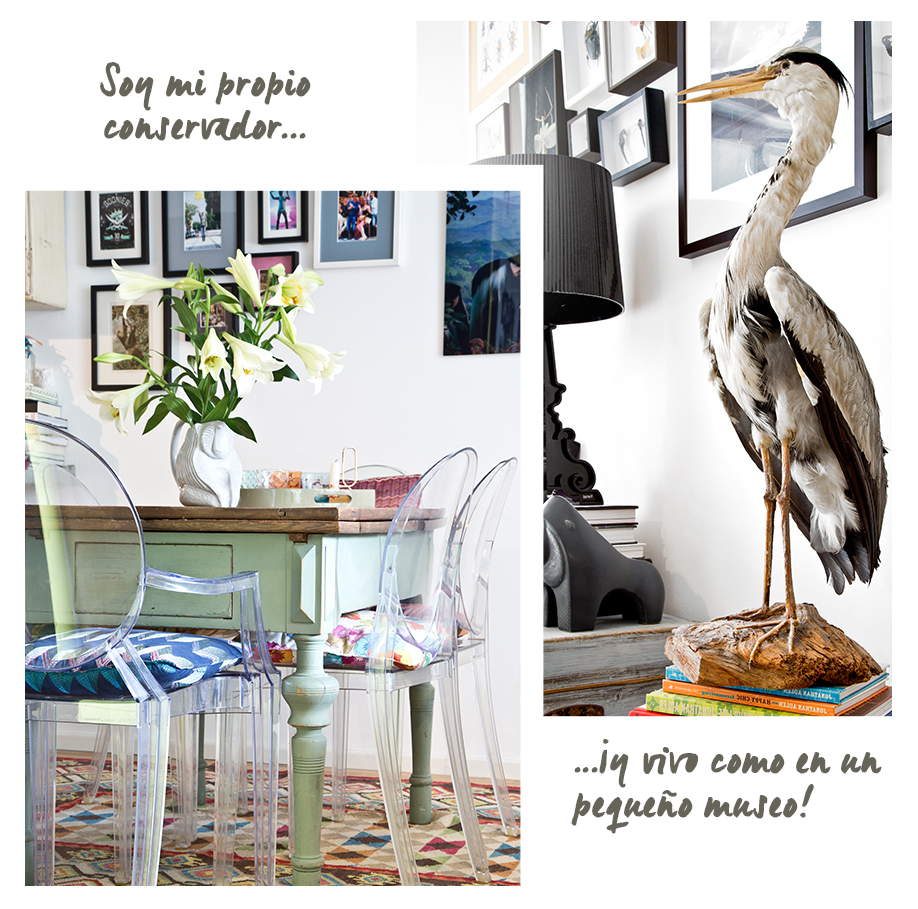 en casa-martin-schmieder-conservador-muyseo