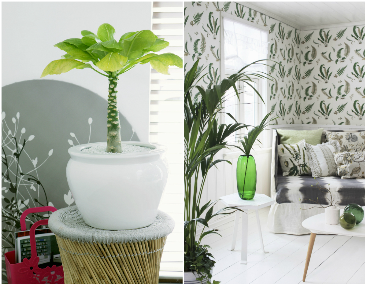 westwing-estilo-colonial-collage1