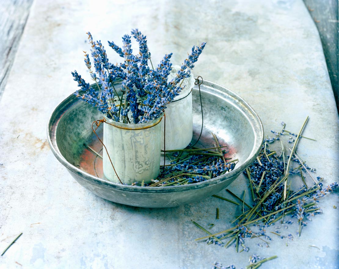 westwing-cocooning-lavanda