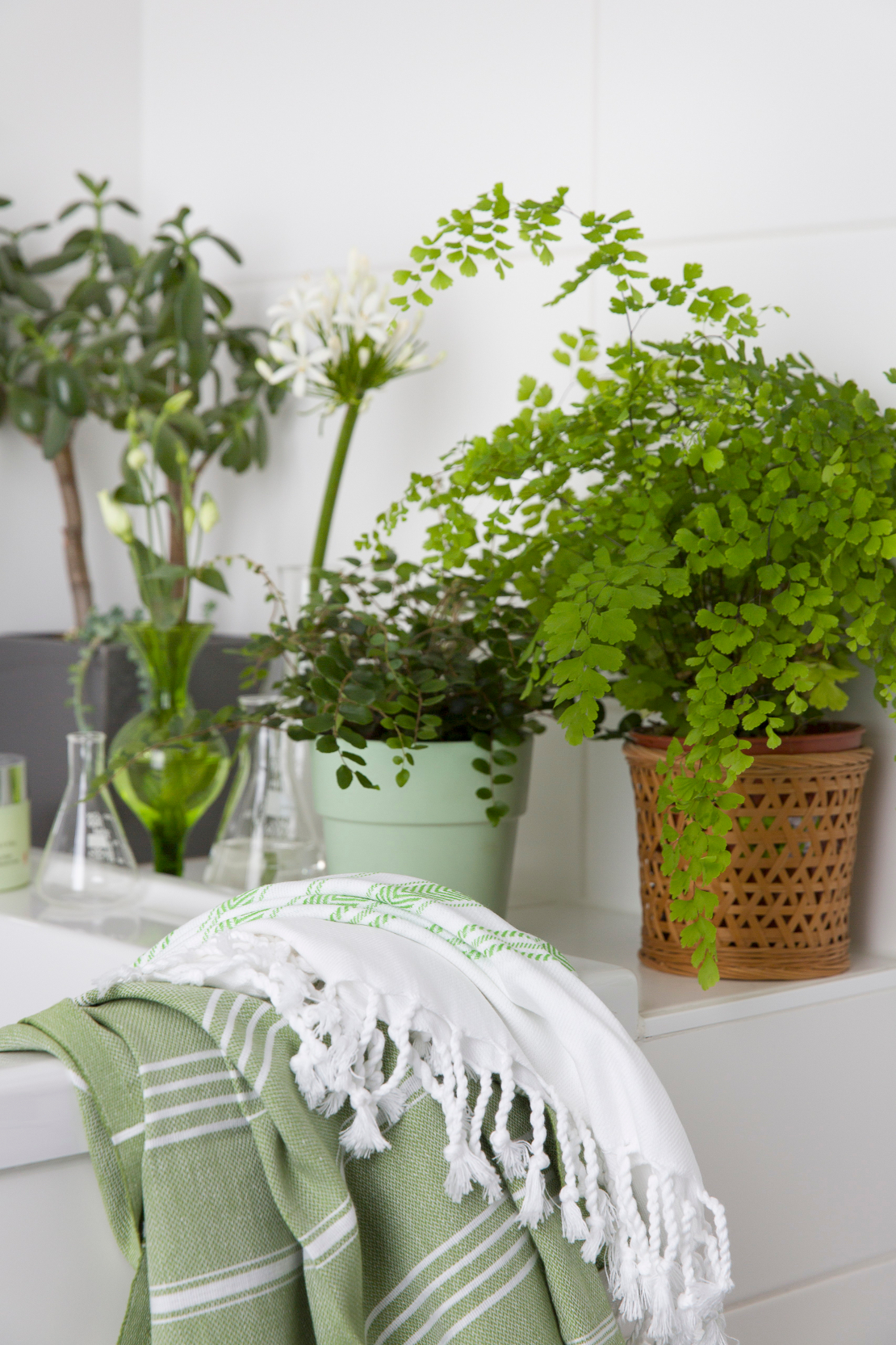 westwing-baños-plantas