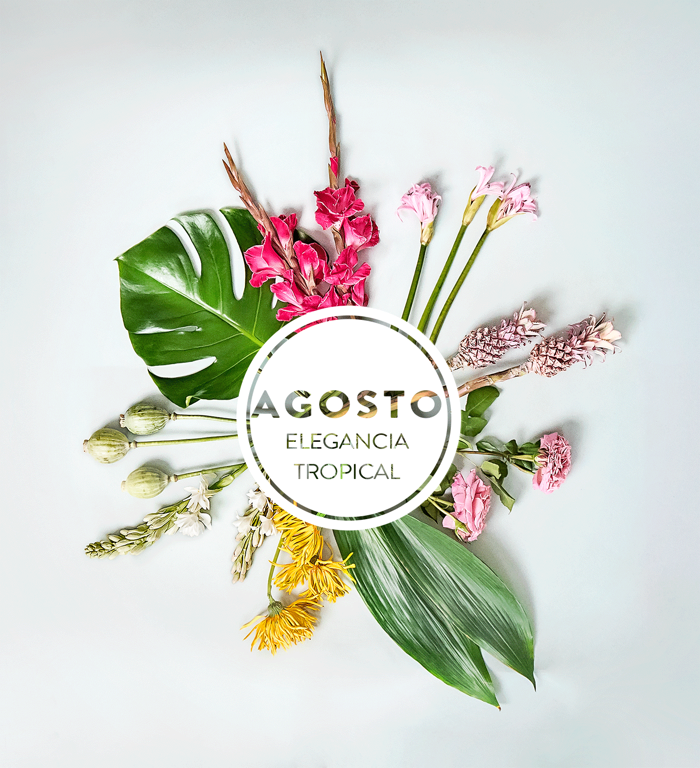 Ramo de flores agosto GIF