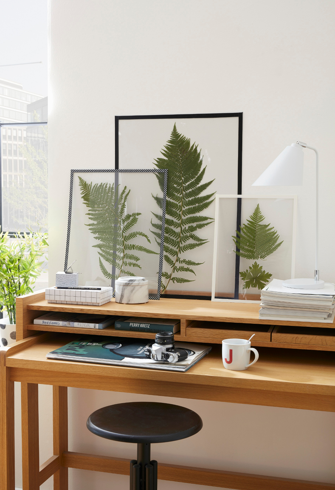 westwing-regalos-inuaguracion-casa-plantasmarcos