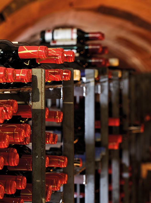 Aprendiendo-a-disfrutar-del-vino- (4)