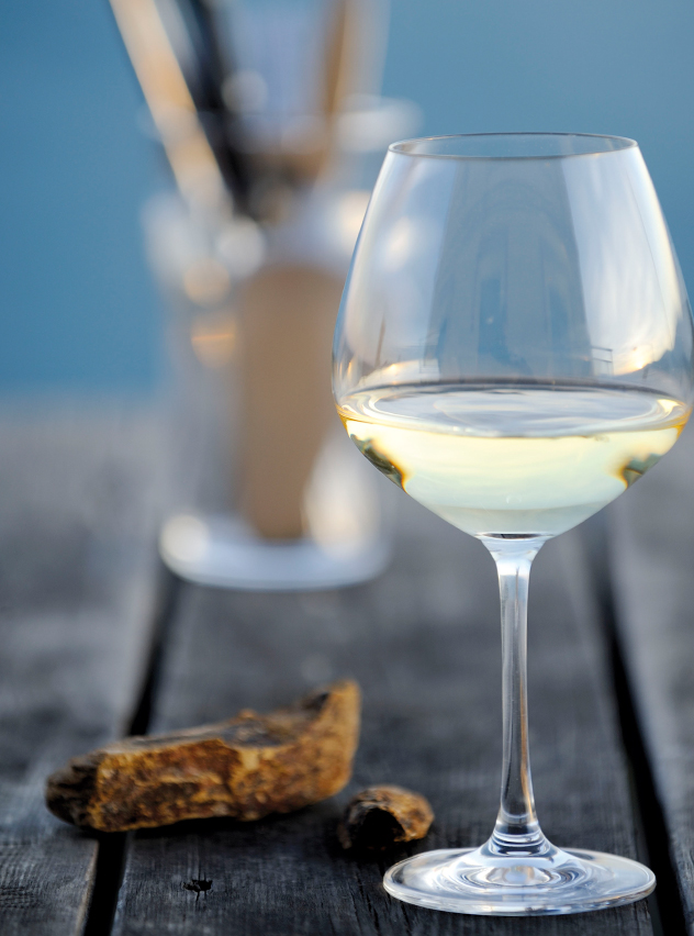 Aprendiendo-a-disfrutar-del-vino- (5)