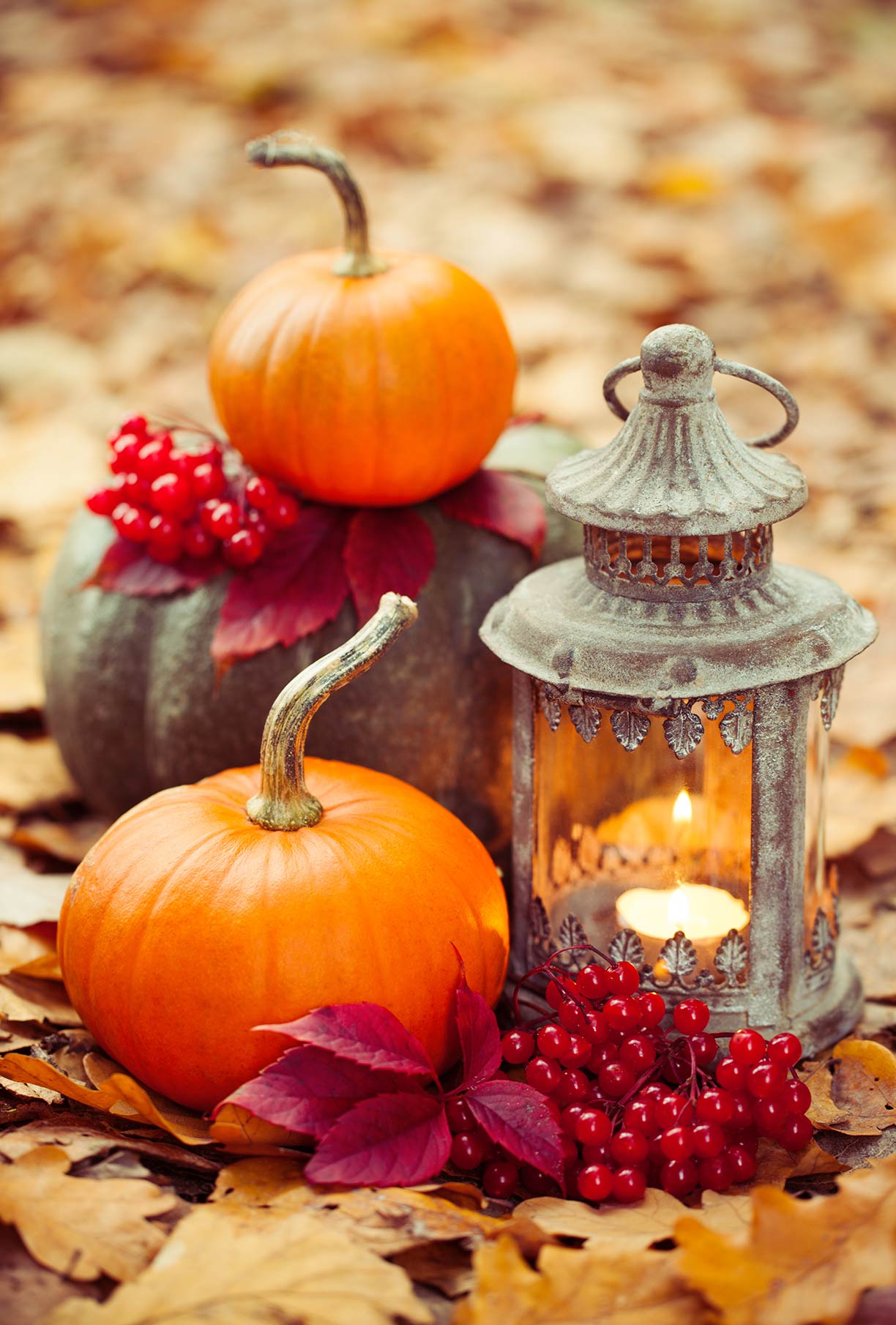 Halloween deco - Westwing Magazine (3)