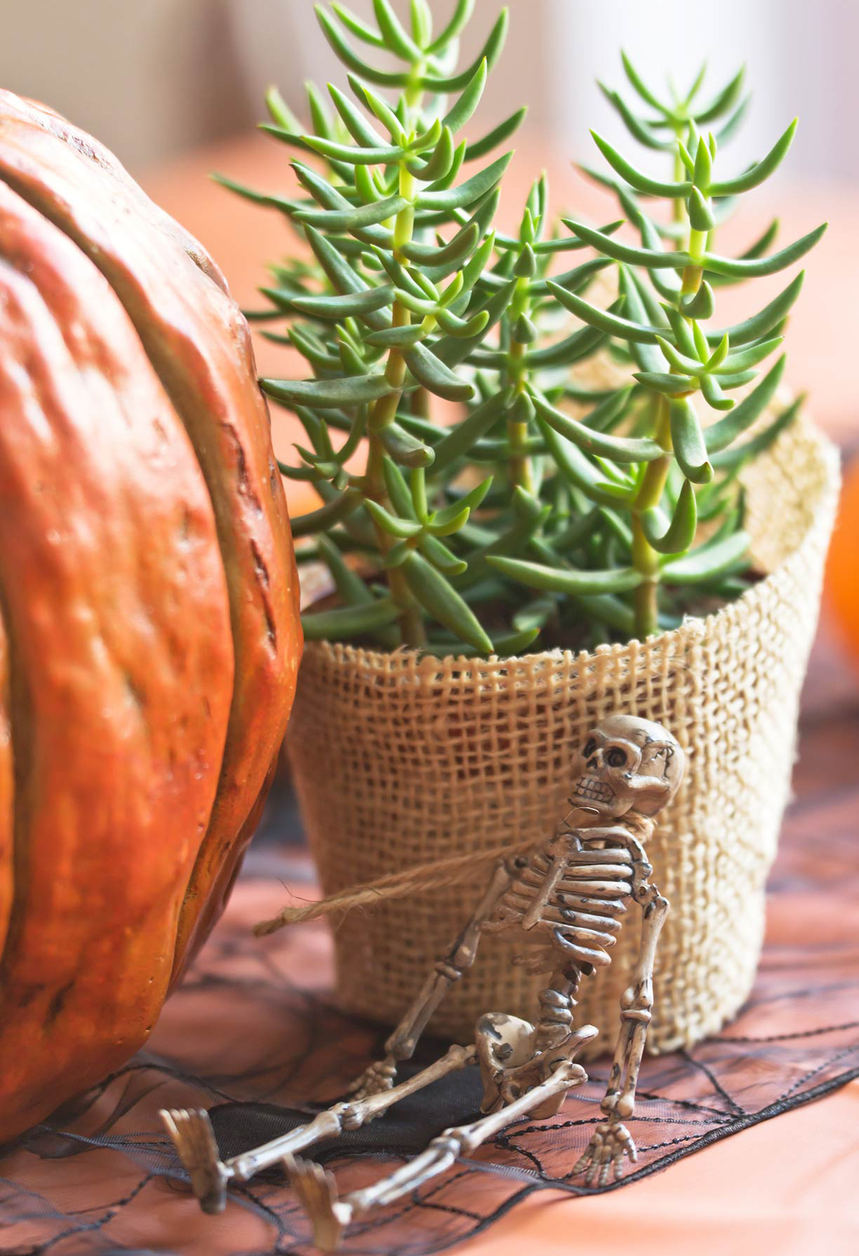 Halloween deco - Westwing Magazine (6)