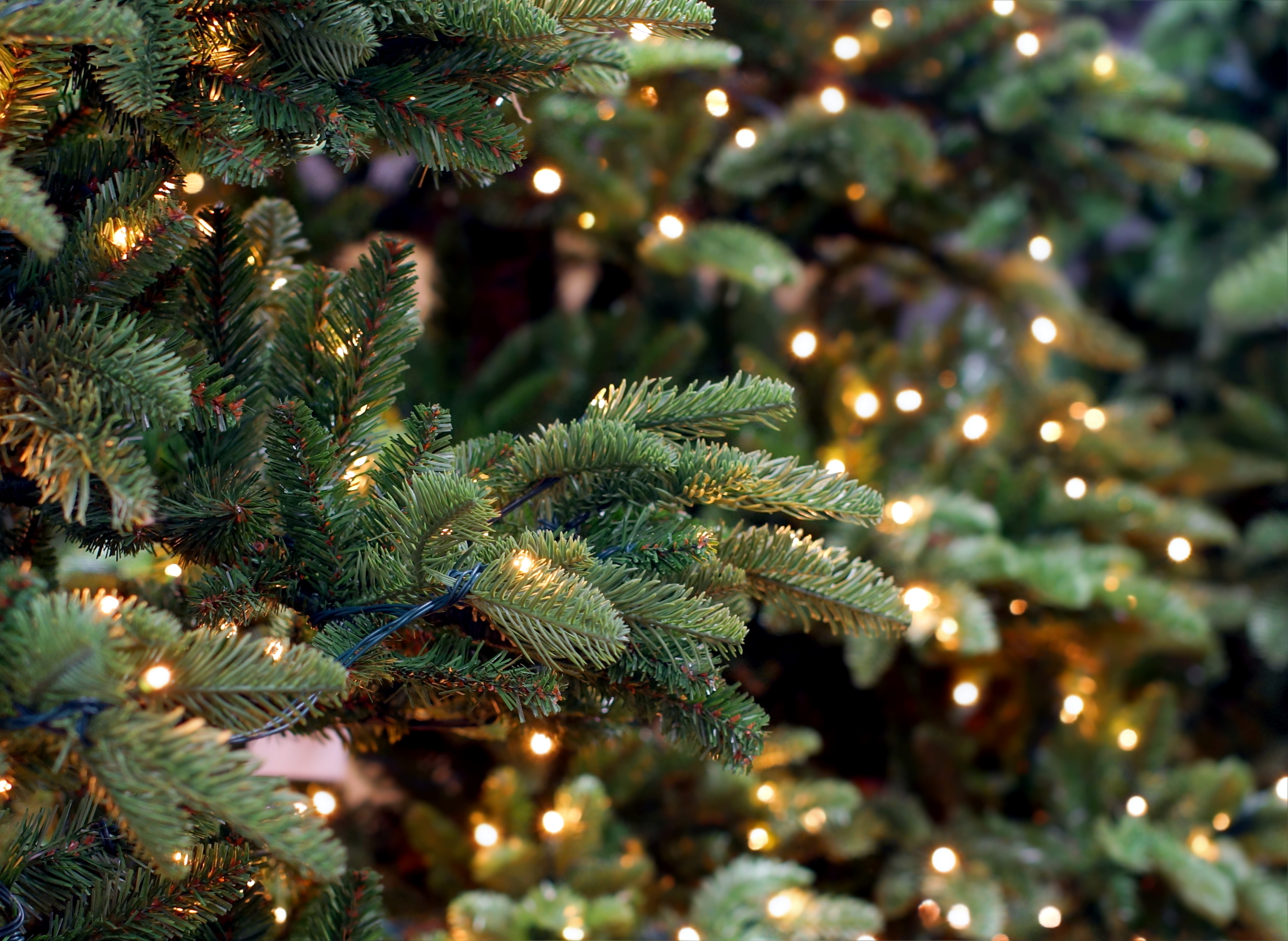 Luces de navidad_westwing magazine