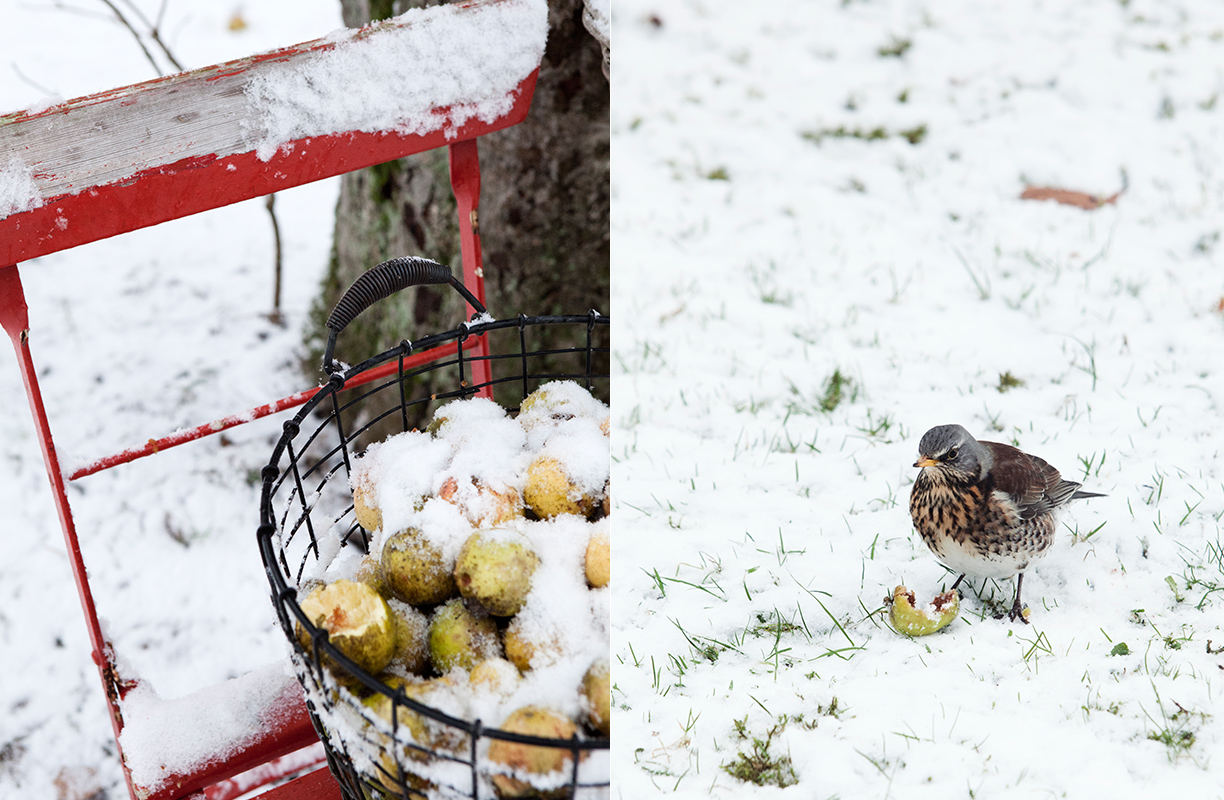 Una Navidad en las montañas-WESTWING MAGAZINE 2