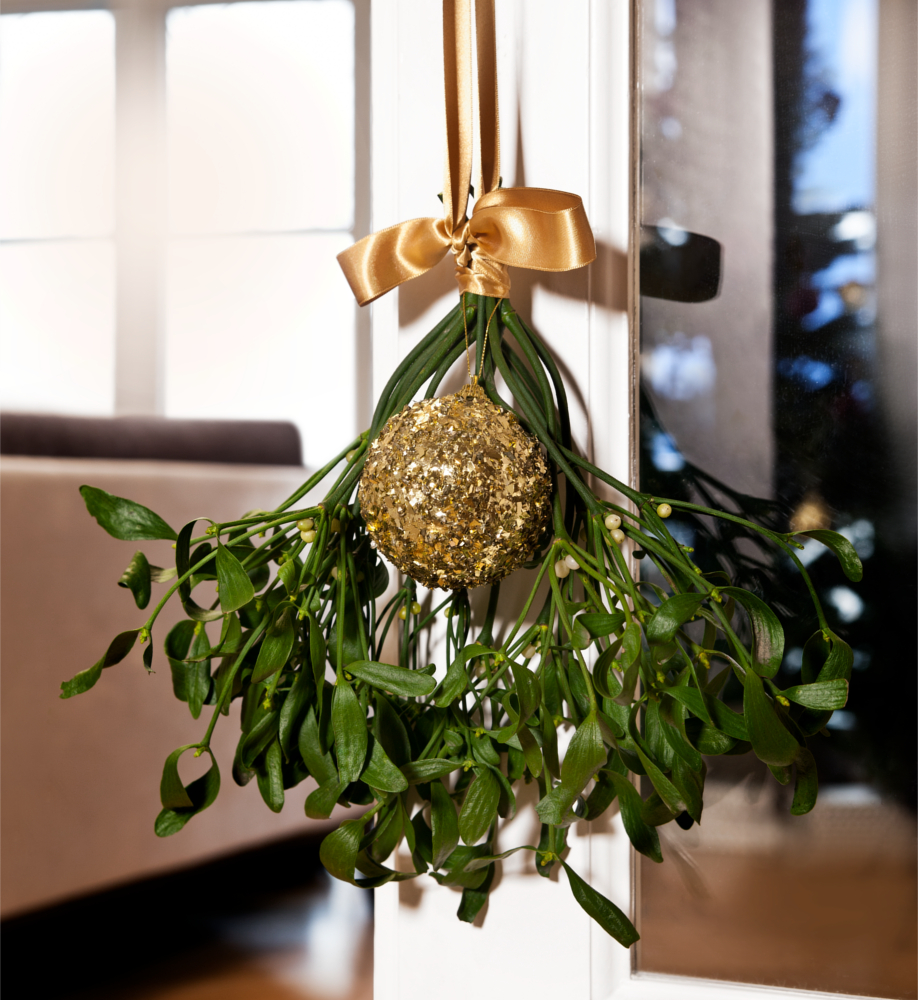 No te olvides de poner en el muérdago detalles navideños Westwing-muérdago-deco-idea-muy-natural