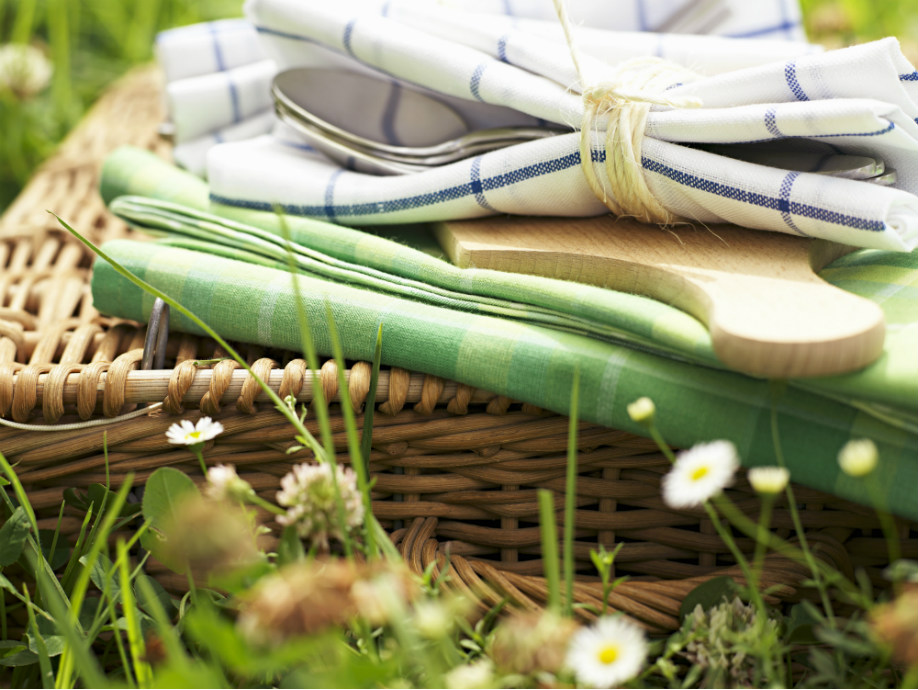 westwing-picnic-servilletas