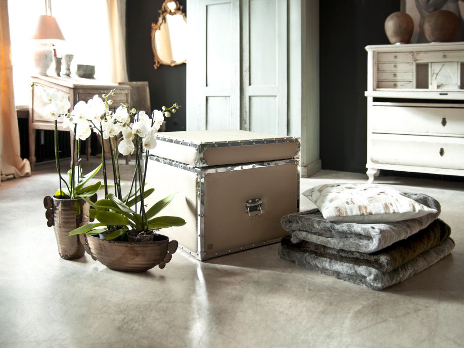 westwing-plantas-3